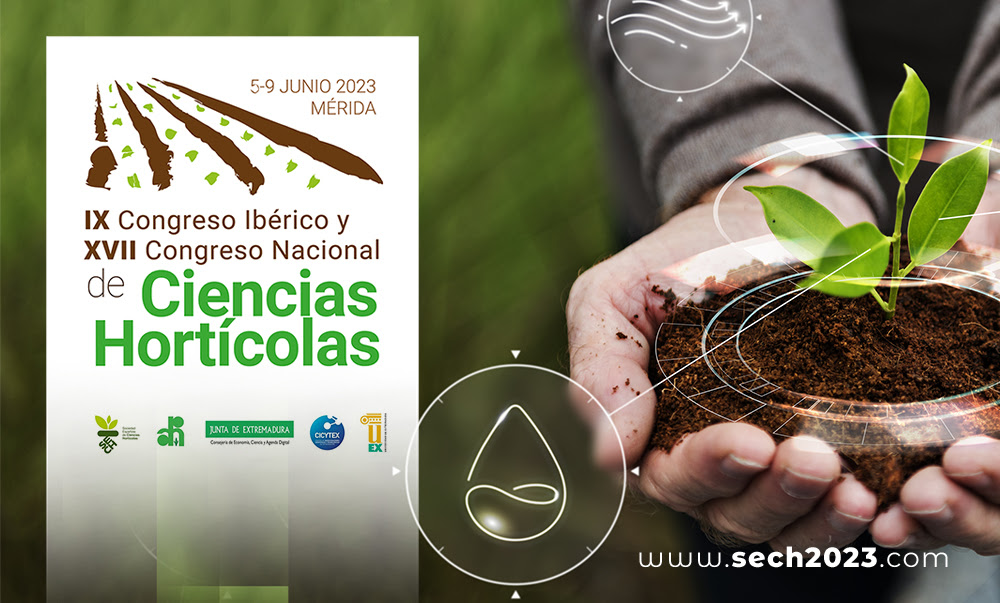 SECH-Congreso|sech-2023-congreso